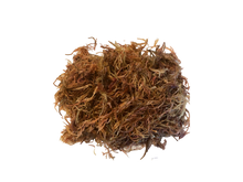 Load image into Gallery viewer, Raw Wildcrafted Purple Sea Moss