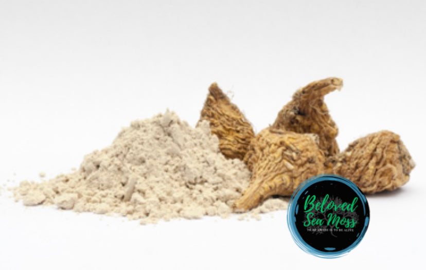 Maca Root Powder