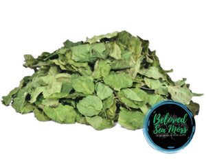 Moringa Herbal Tea