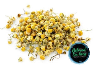 Chamomile Flowers